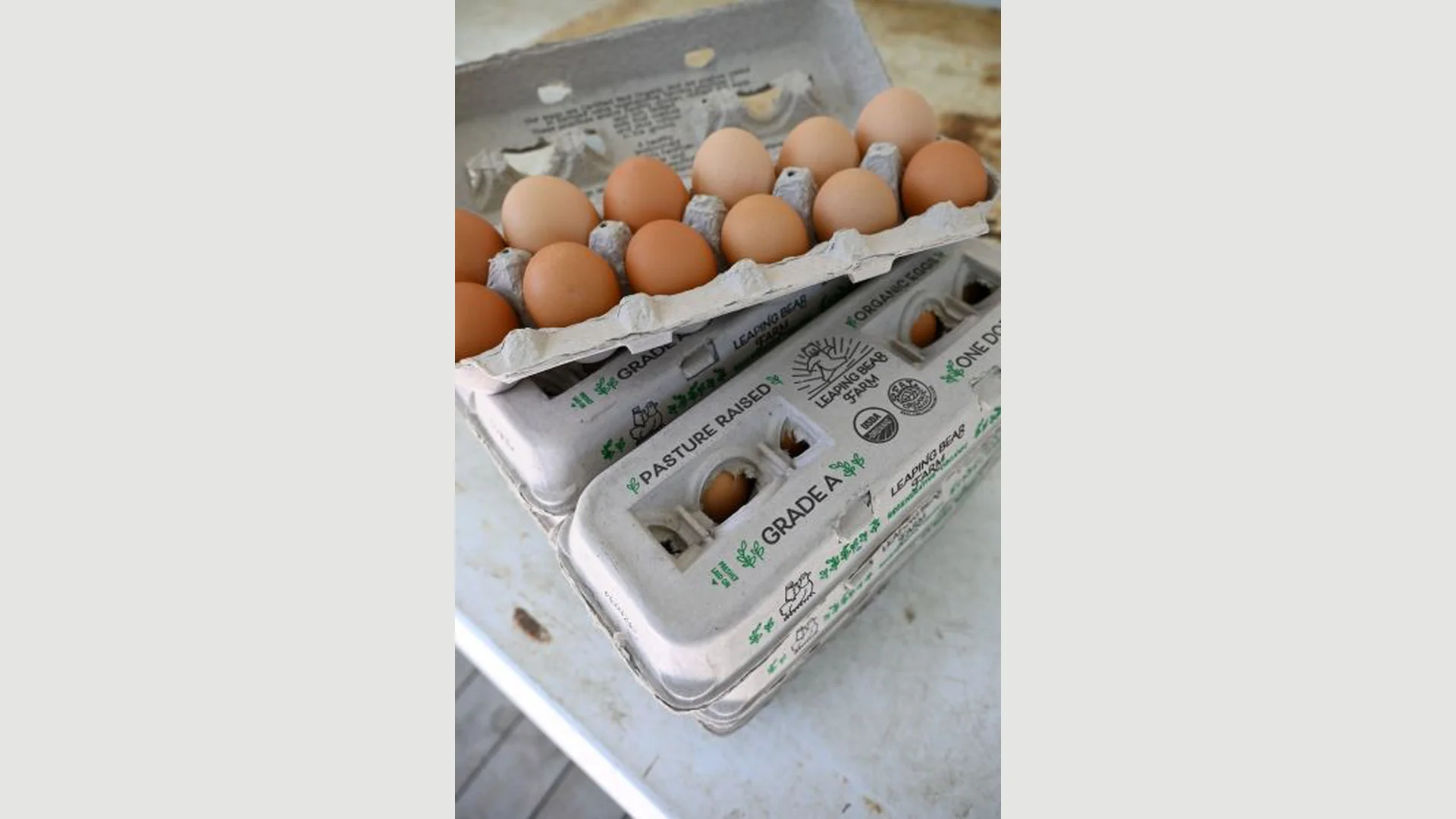 Leaping Bear Farm Eggs Salmonella Lawyer